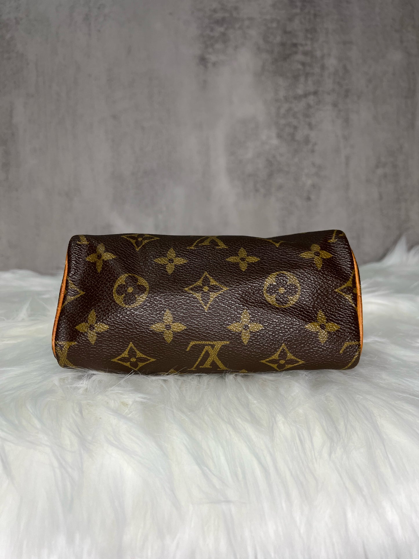 Louis Vuitton Vintage Nano Speedy
