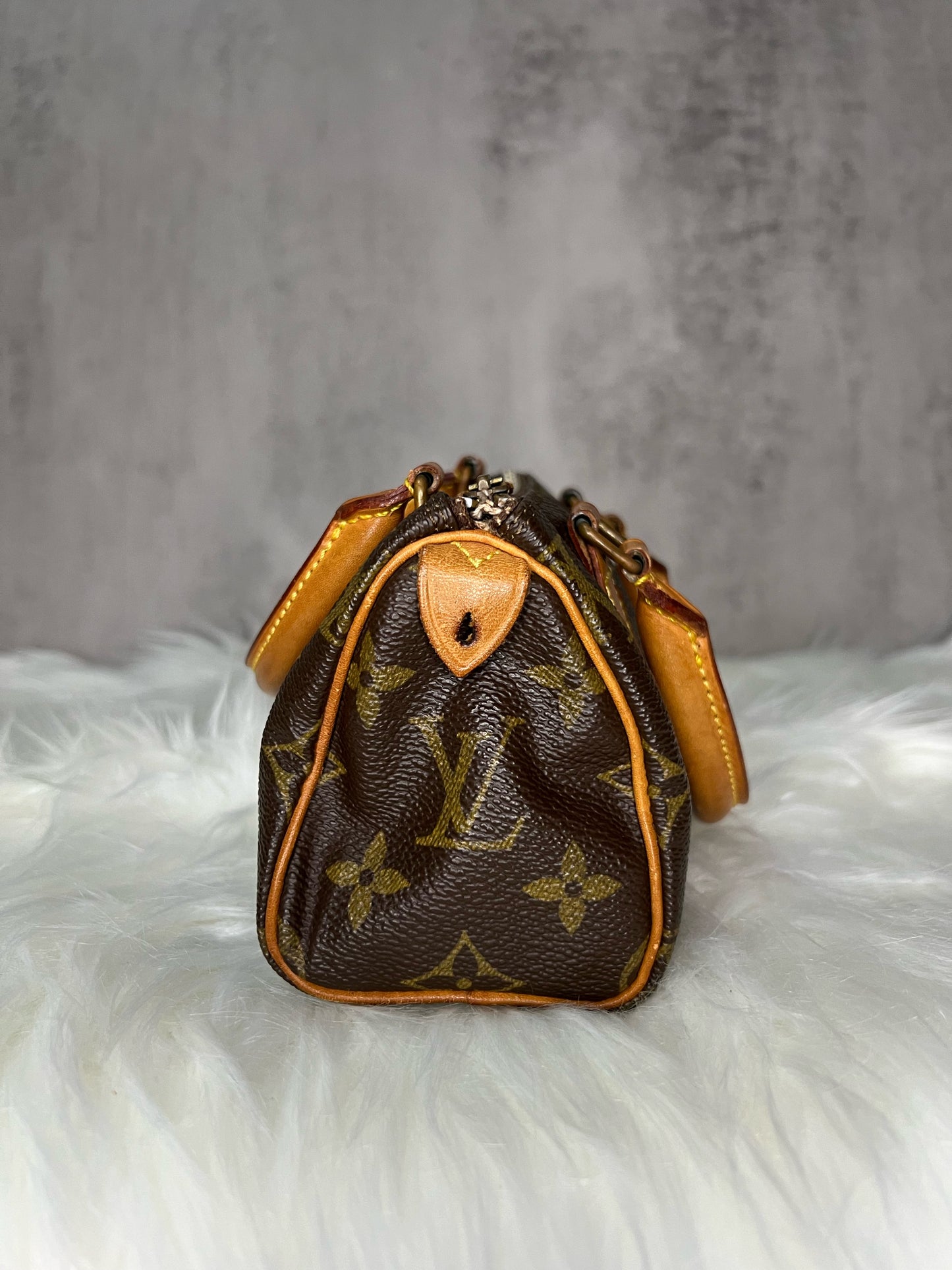 Louis Vuitton Vintage Nano Speedy